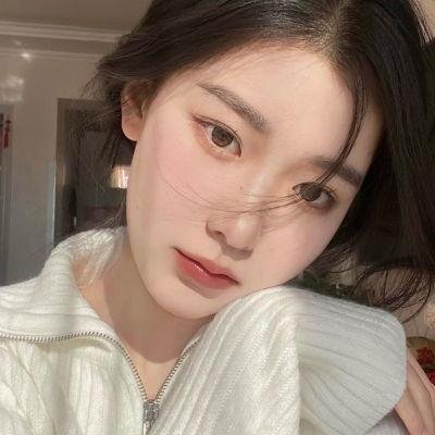 哈兰·科本的庇护所